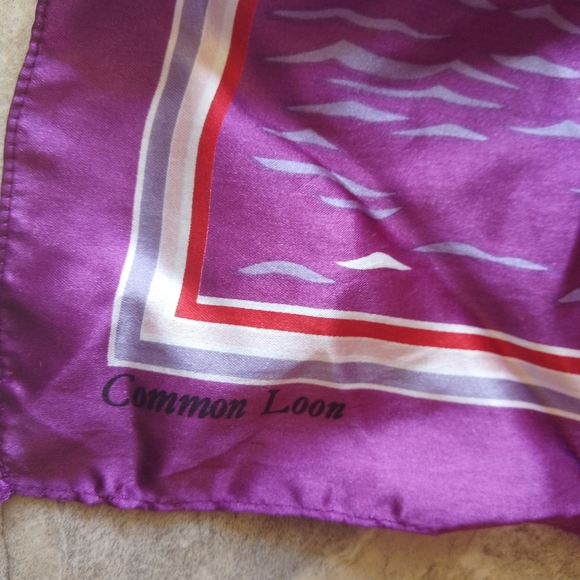 Common Loon - Picture 4 of 4